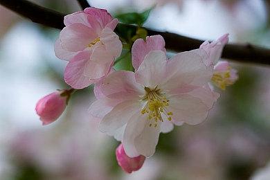 好评如潮合作游戏《深岩银河》第3赛季推出 周末免费畅玩